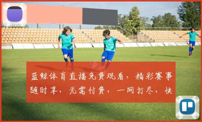 蓝鲸体育直播免费观看，精彩赛事随时享，无需付费，一网打尽，快来体验