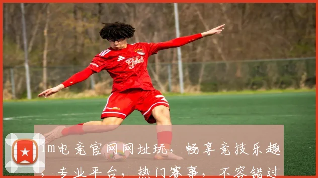 im电竞官网网址玩，畅享竞技乐趣，专业平台，热门赛事，不容错过，三重福利等你来