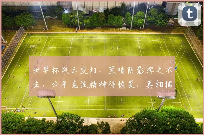 世界杯风云变幻，黑哨阴影挥之不去，公平竞技精神待恢复，真相揭秘引热议。