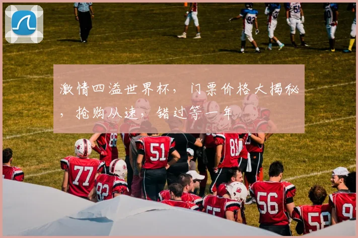 激情四溢世界杯，门票价格大揭秘，抢购从速，错过等一年